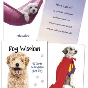 dog wisdom tarot card