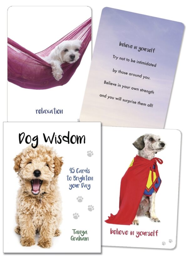dog wisdom tarot card